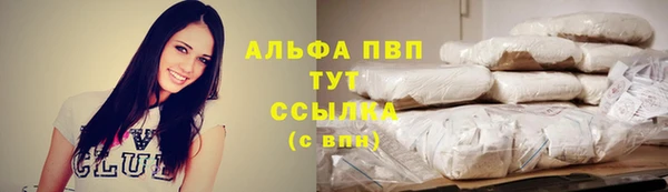 MESCALINE Новозыбков