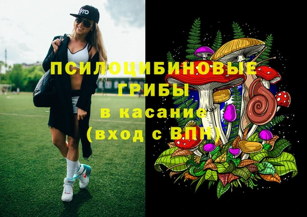 соль ск Новокубанск